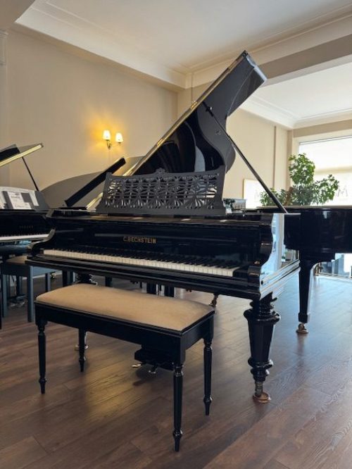 C.Bechstein Model B
